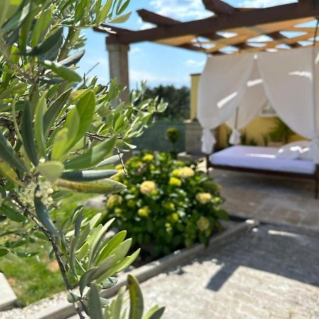 Quinta Da Menina Guest House Вила Реал Екстериор снимка
